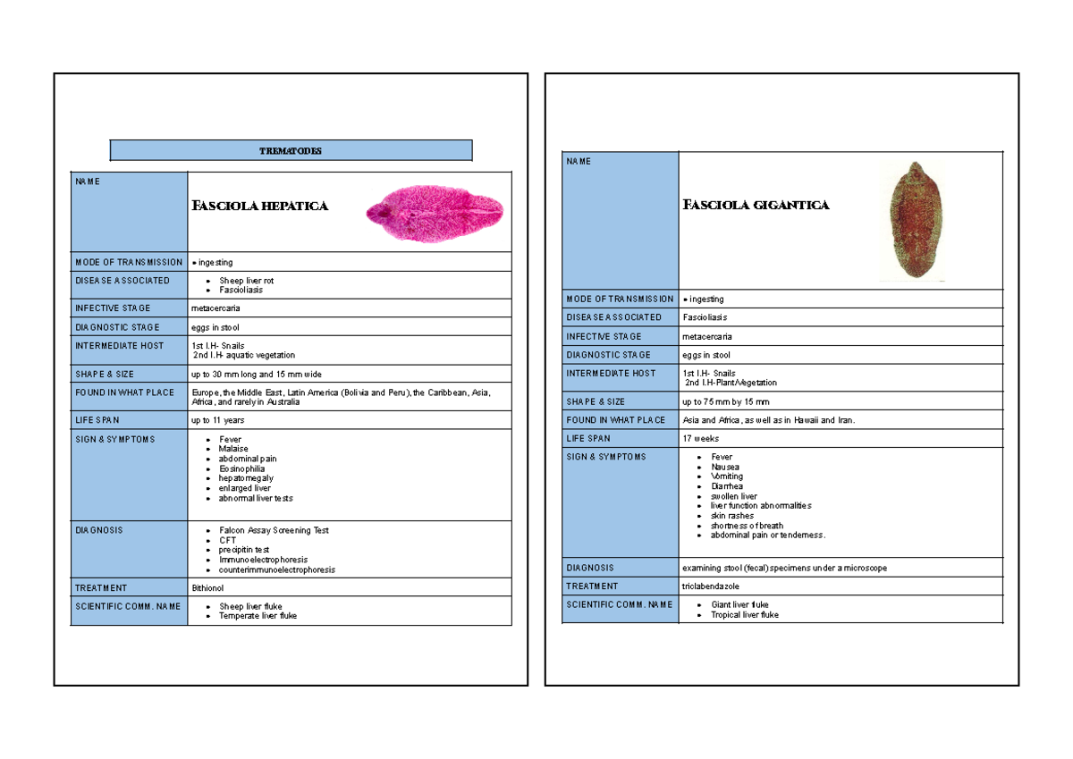Parasitology Lecture: Trematodes Overview and Key Species - Studocu