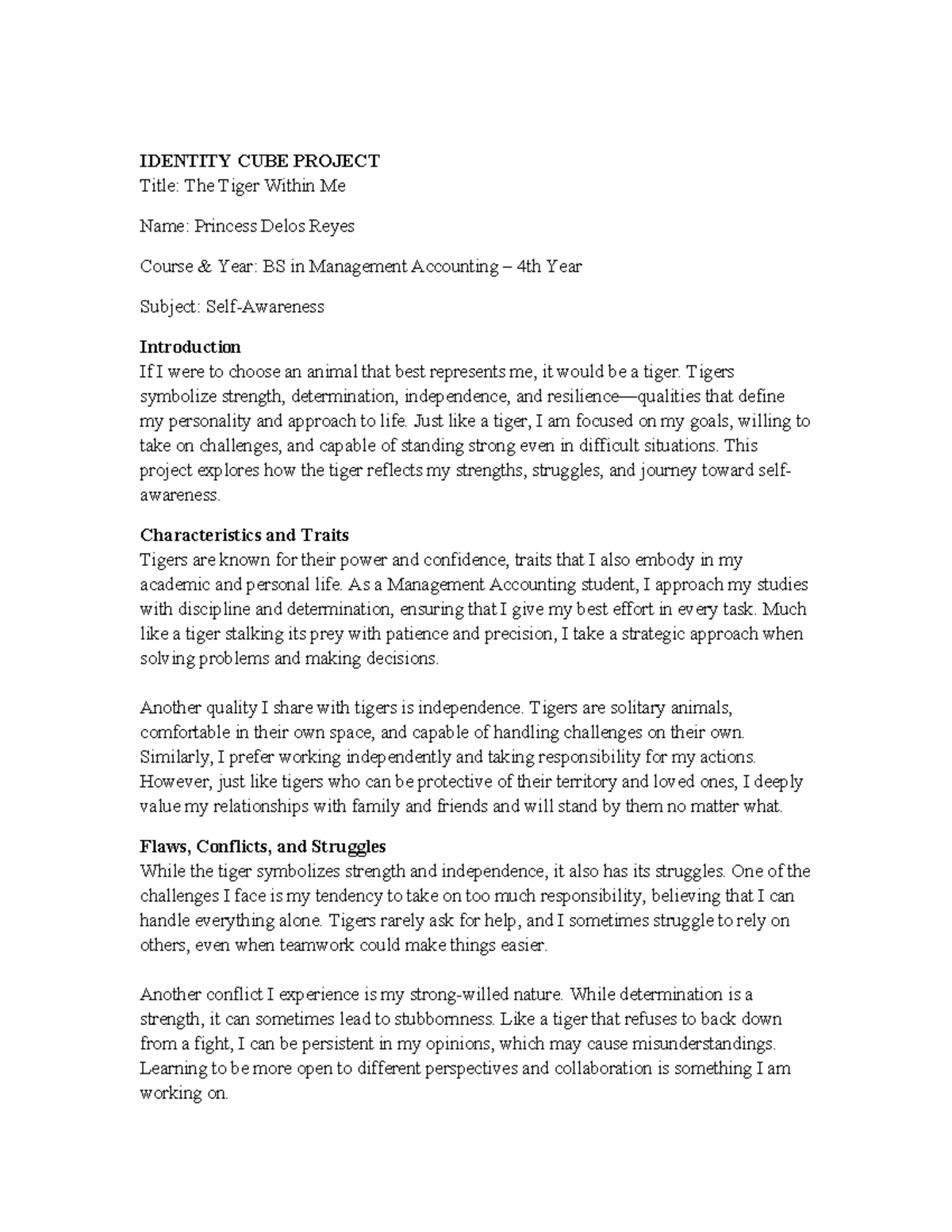 Identity Cube Project: The Tiger Within Me - BS Management Acc 4th Year ...