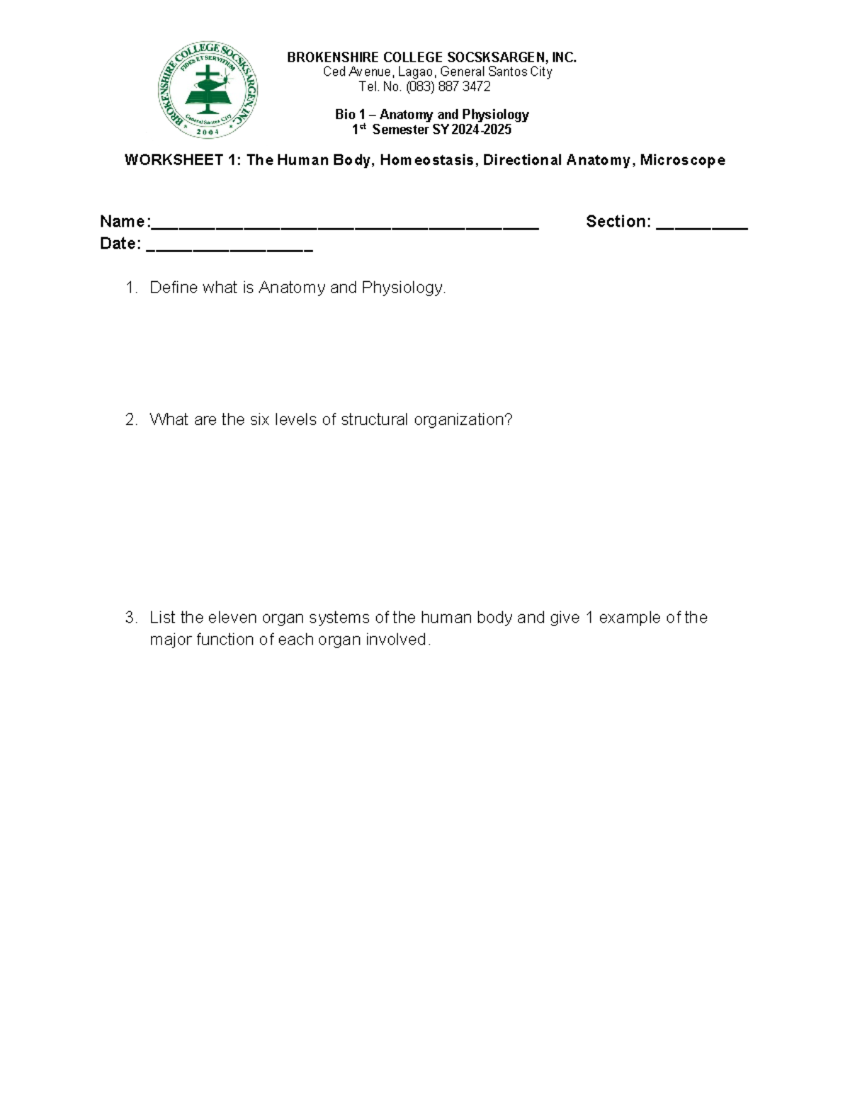 Ana Phy Worksheet 1 Human Body Homeostasis Directional Anatomy ...
