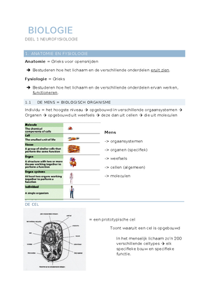 [Solved] Hoe wordt een detrivoor omgezet in een reducent - Biologie ...
