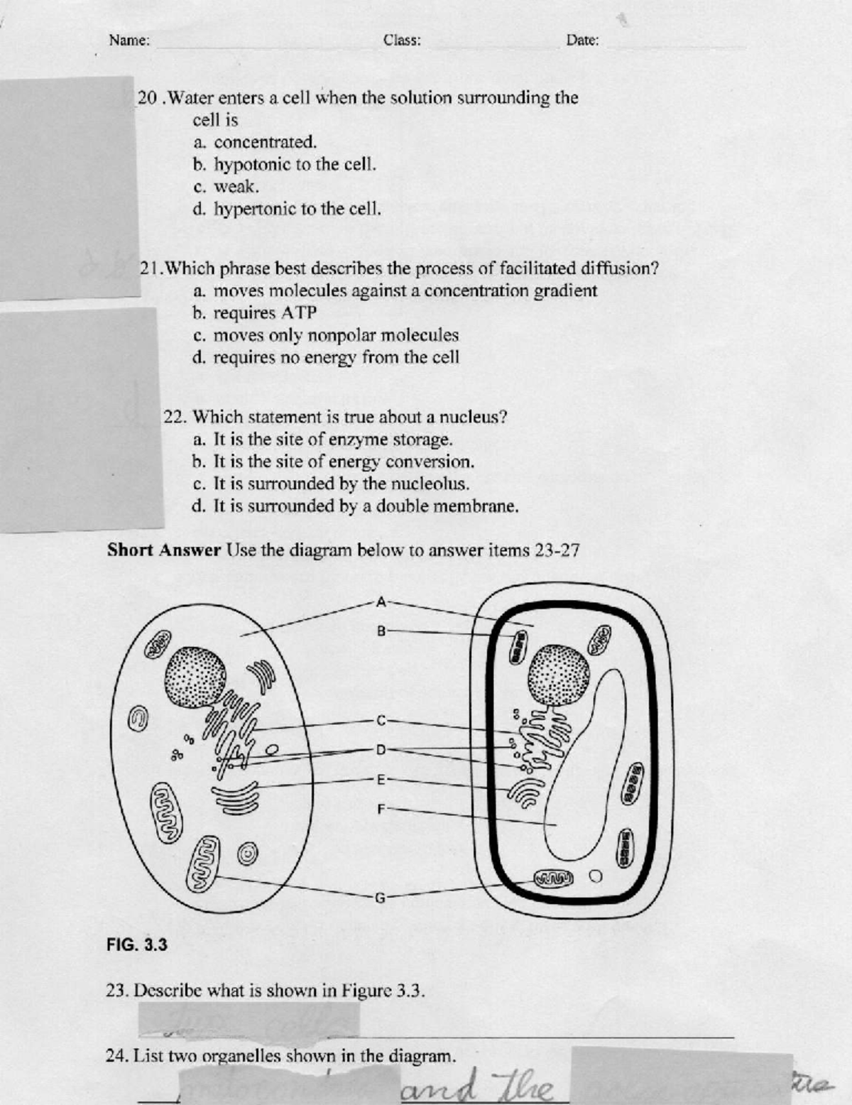 Biology 101: Chapter 3 - Cell Structure and Function Notes - Studocu