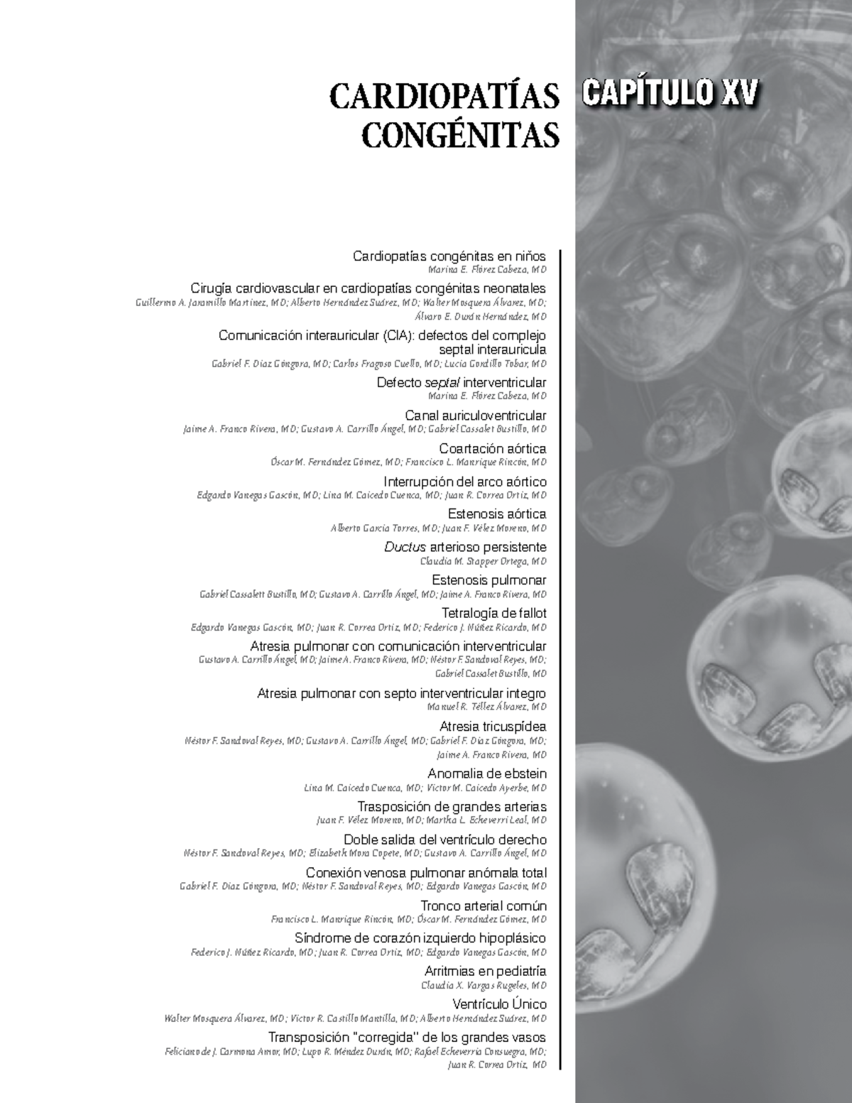 Cardiopatías Congénitas en Niños - Estudio Detallado XV - Document Preview