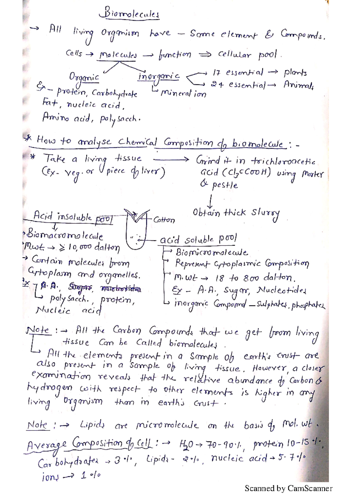 Biomolecules Lecture Notes - Key Concepts & Structures - Studocu