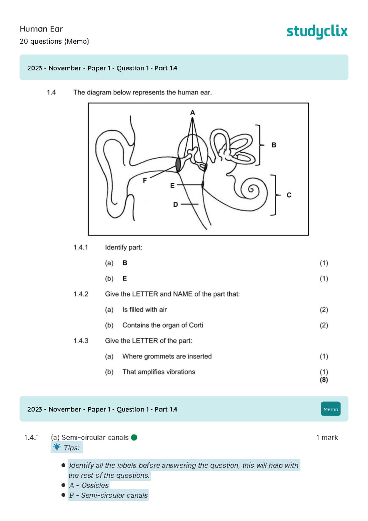 Human Ear Questions & Memos (2023 Nov Paper 1) - Studocu