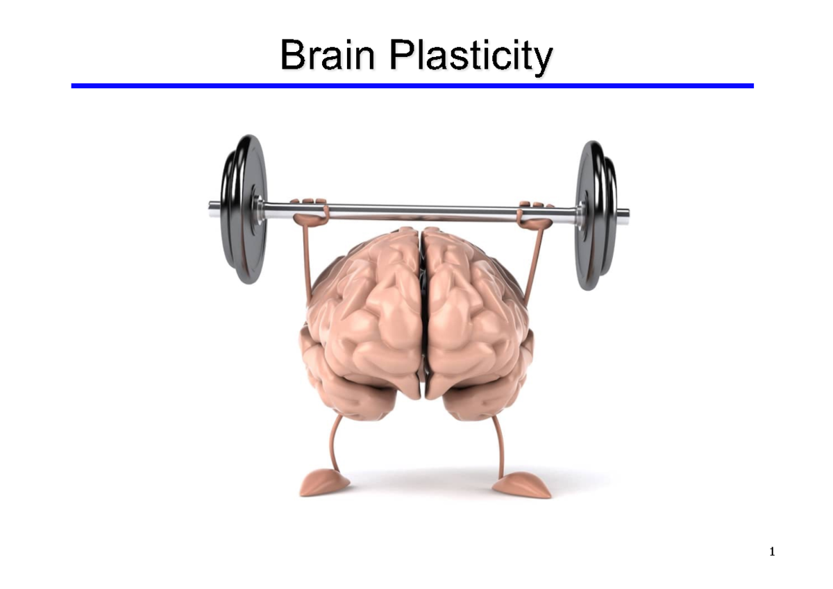 PSYC10003 Lecture 6: Understanding Brain Plasticity and Rehabilitation ...
