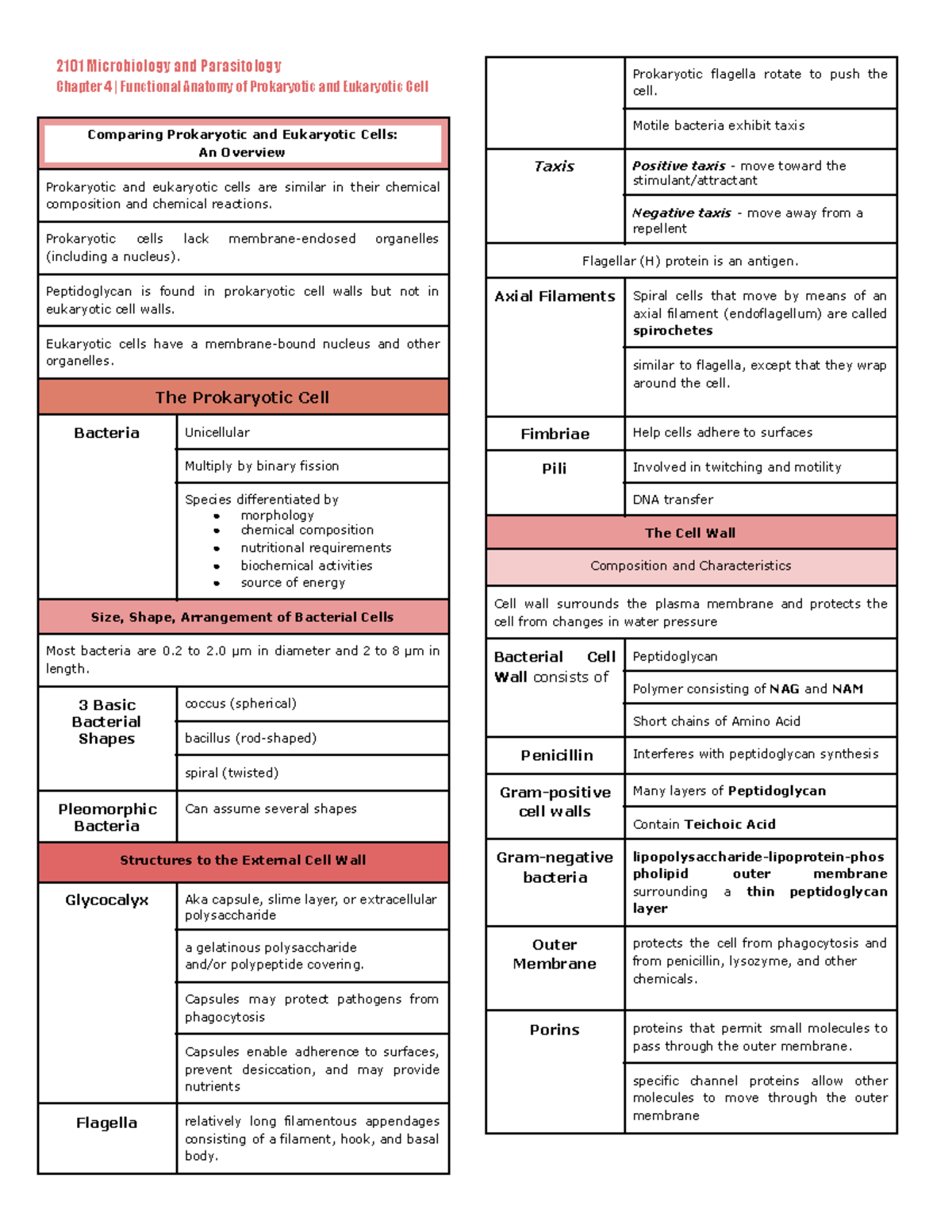 2101 Chapter 4 Overview: Functional Anatomy of Prokaryotic & Eukaryotic ...