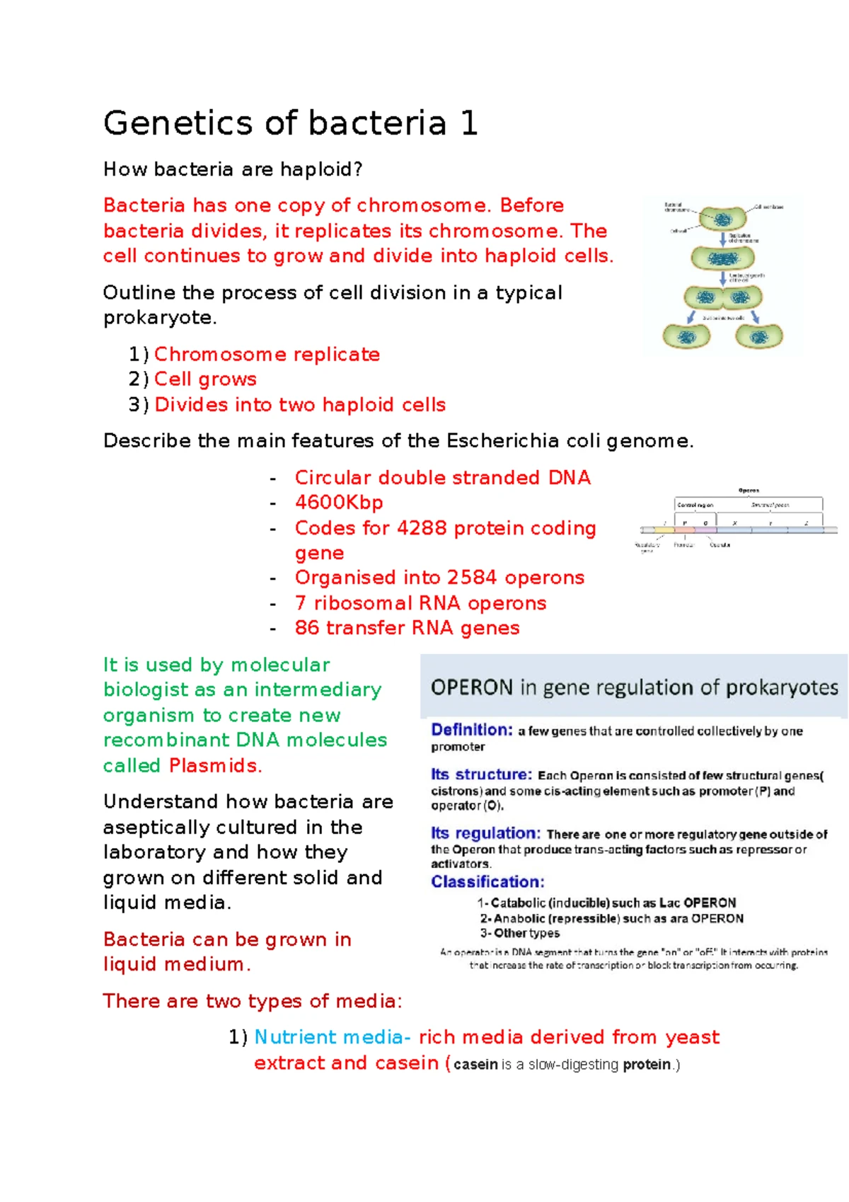 Genetics L1 and 2 notes - What is the level of organisation of genetic ...