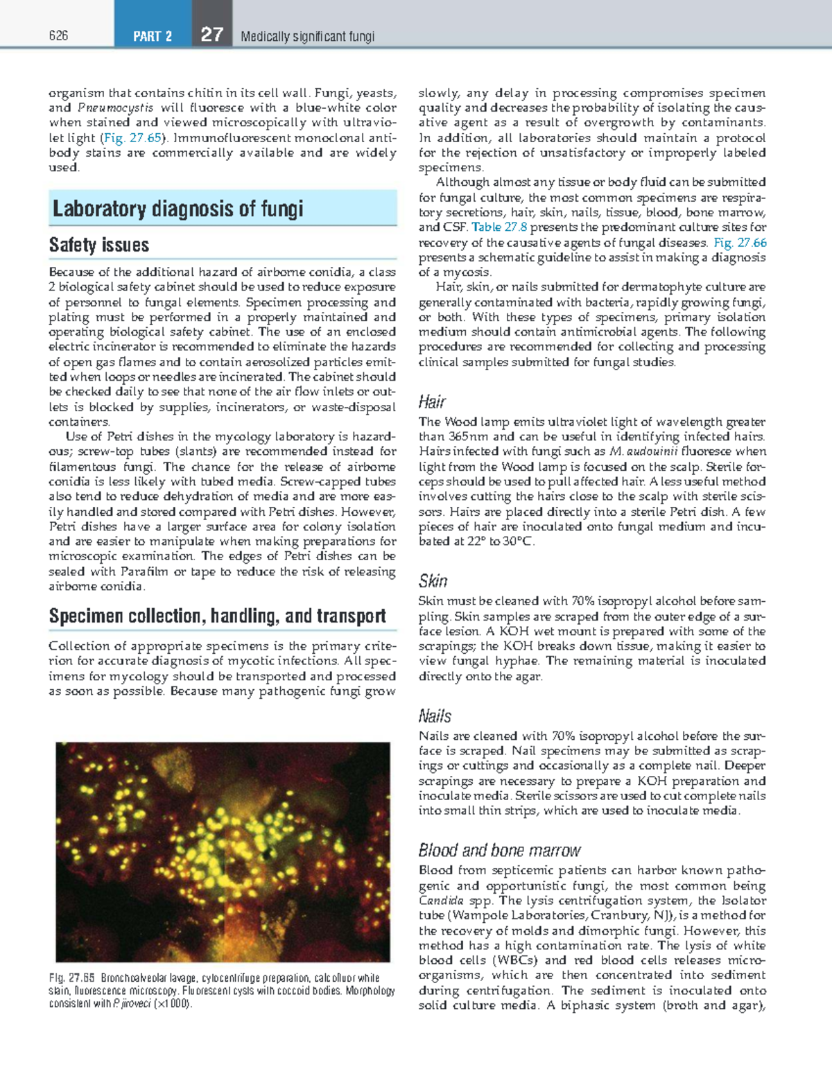 Mycology Reading Assignment: Laboratory Diagnosis of Fungal Infections ...