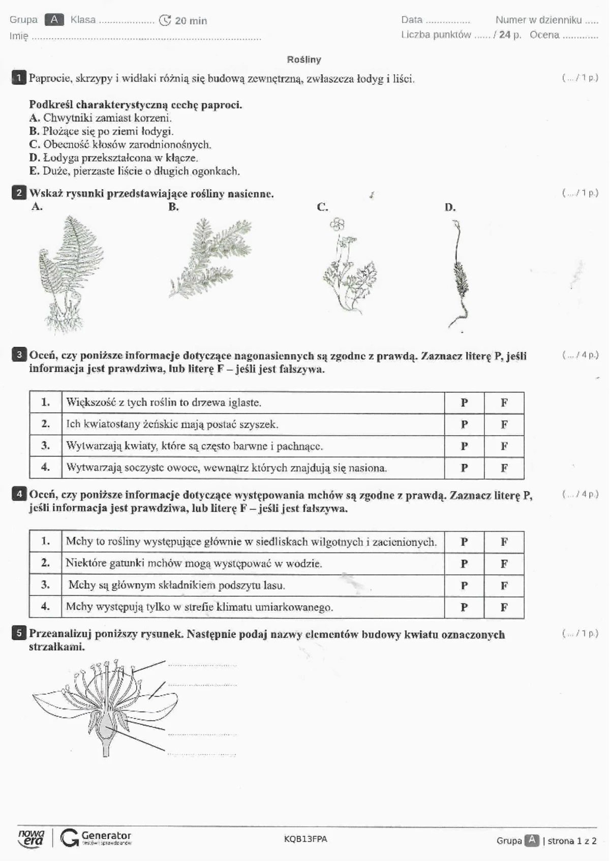 Test-3: Biologia Klasa 5 - Rośliny Nagonasienne i Okrytonasienne - Studocu