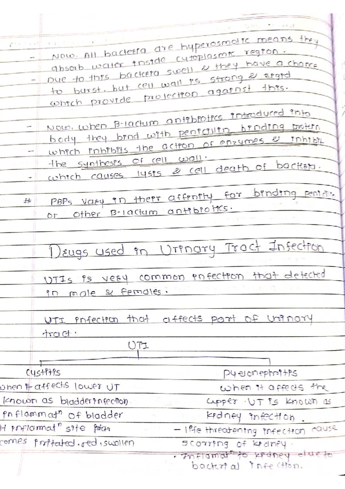 A8 Case Study on Urinary Tract Infections and Treatment Options - Studocu