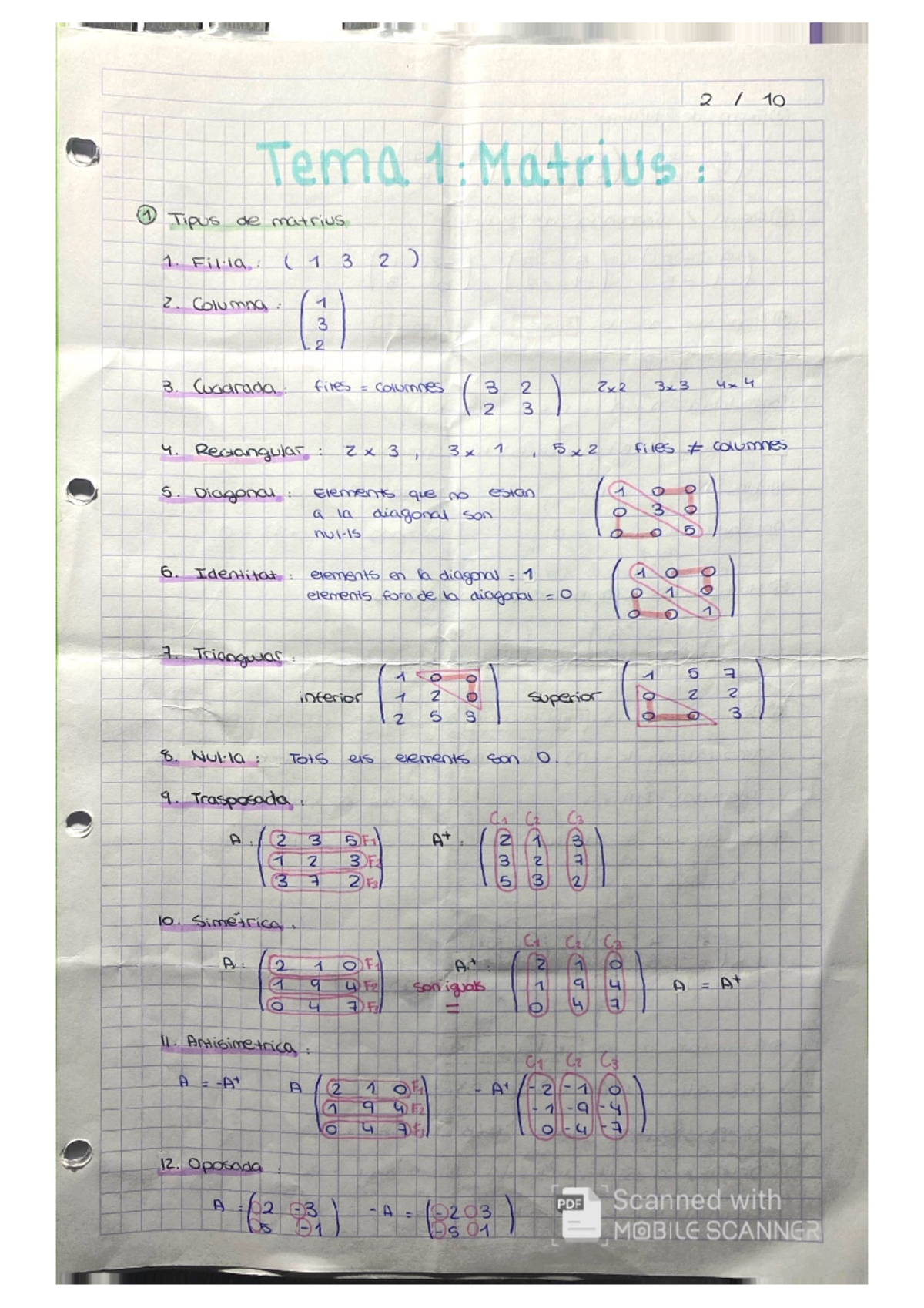 Tema 1: Matrices - 2 10 Tema Matrius 1 Tipus de matrius 1. Filla, ( 13 ...