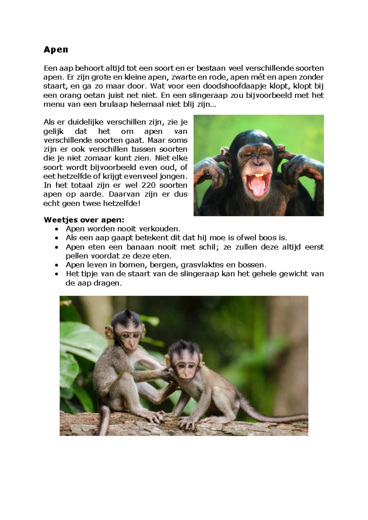 Apen 2 - Leesteksten over Verschillende Soorten Apen - Studeersnel