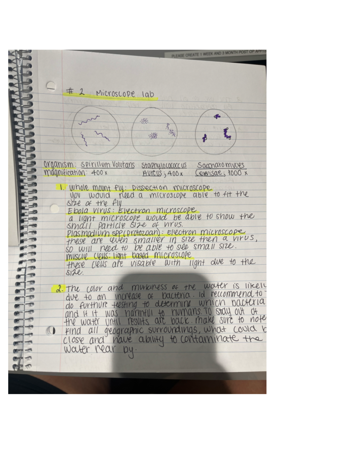 Microscope Lab Manual: Organisms and Testing Techniques for 400x Use ...