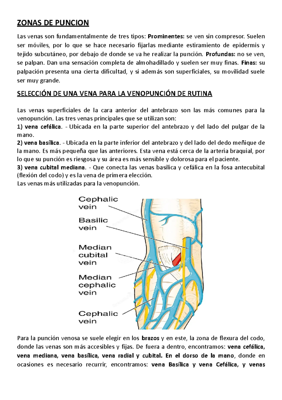 Zonas de Punción para Venopunción: Guía Práctica - Studocu