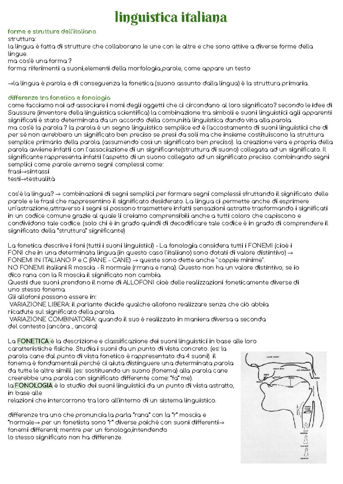 linguistica-italiana-strutture-e-forme-della-lingua-lit101-studocu