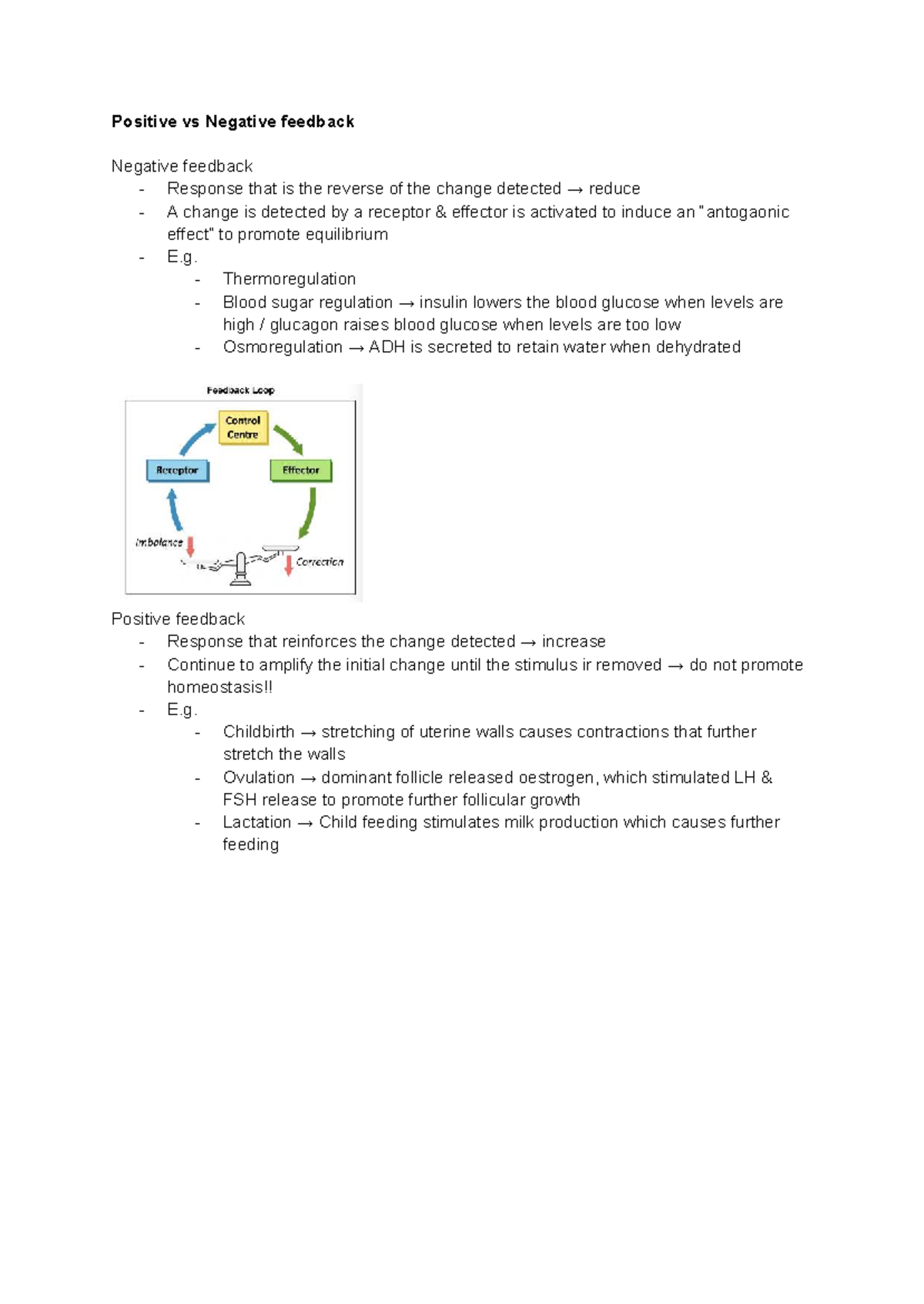 Positive vs Negative Feedback Mechanisms in Homeostasis - Studocu