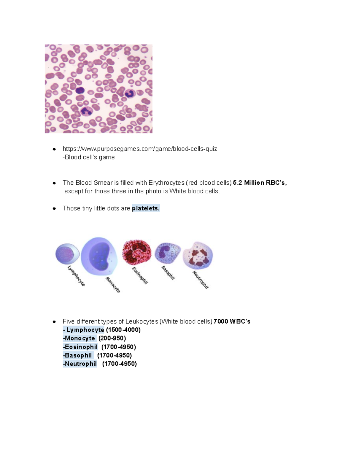 Blood Cell Study Notes: Erythrocytes, Leukocytes & Platelets Overview ...
