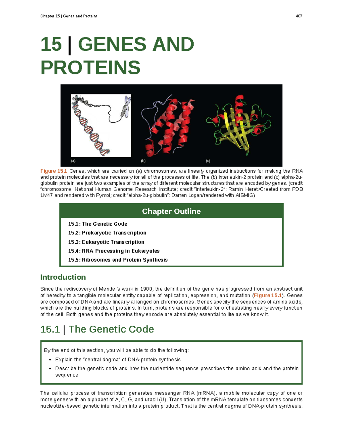 Biology 2e: Chapter 15 - Genes and Proteins Overview and Key Concepts ...