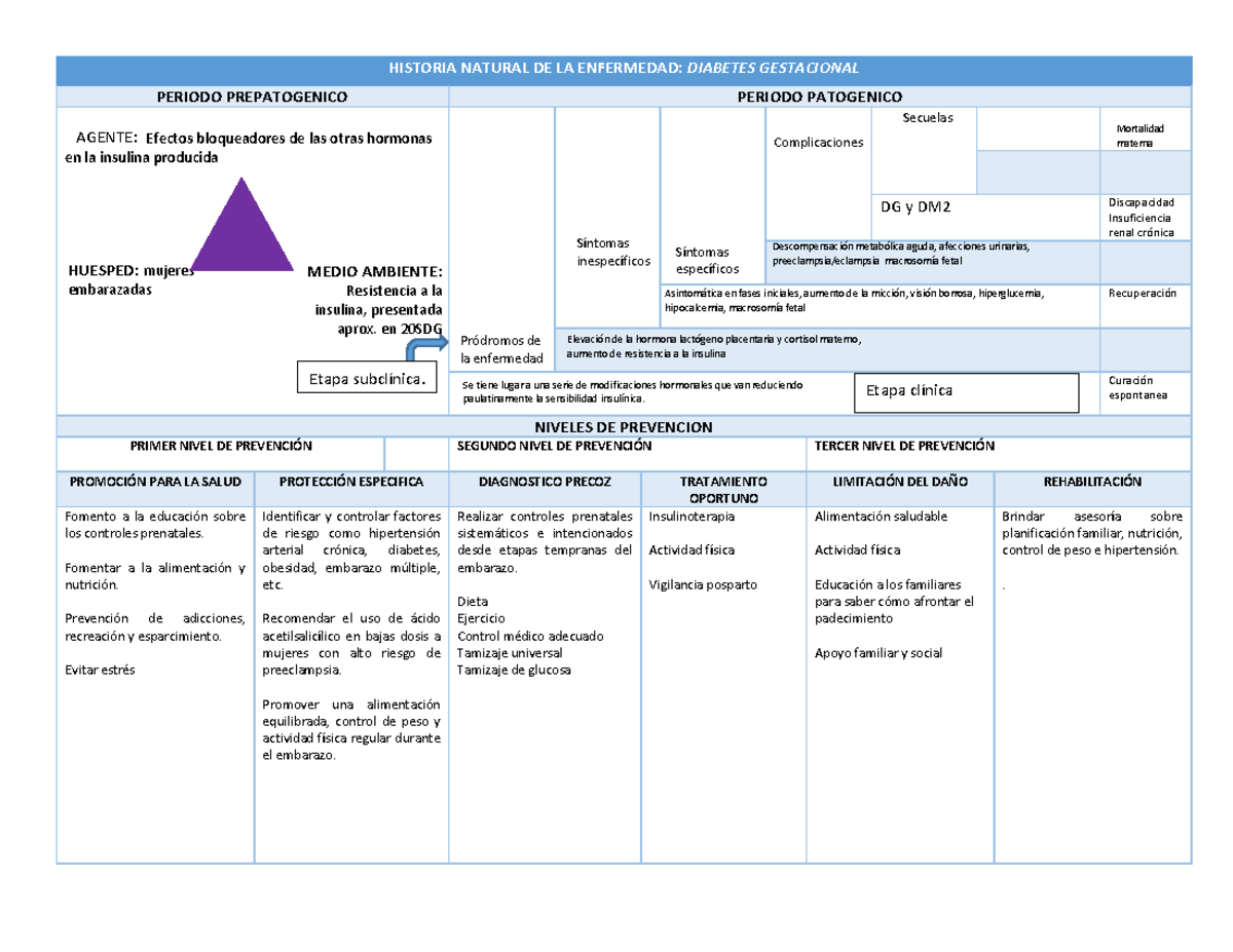 Historia Natural de la Enfermedad: Diabetes Gestacional y Prevención