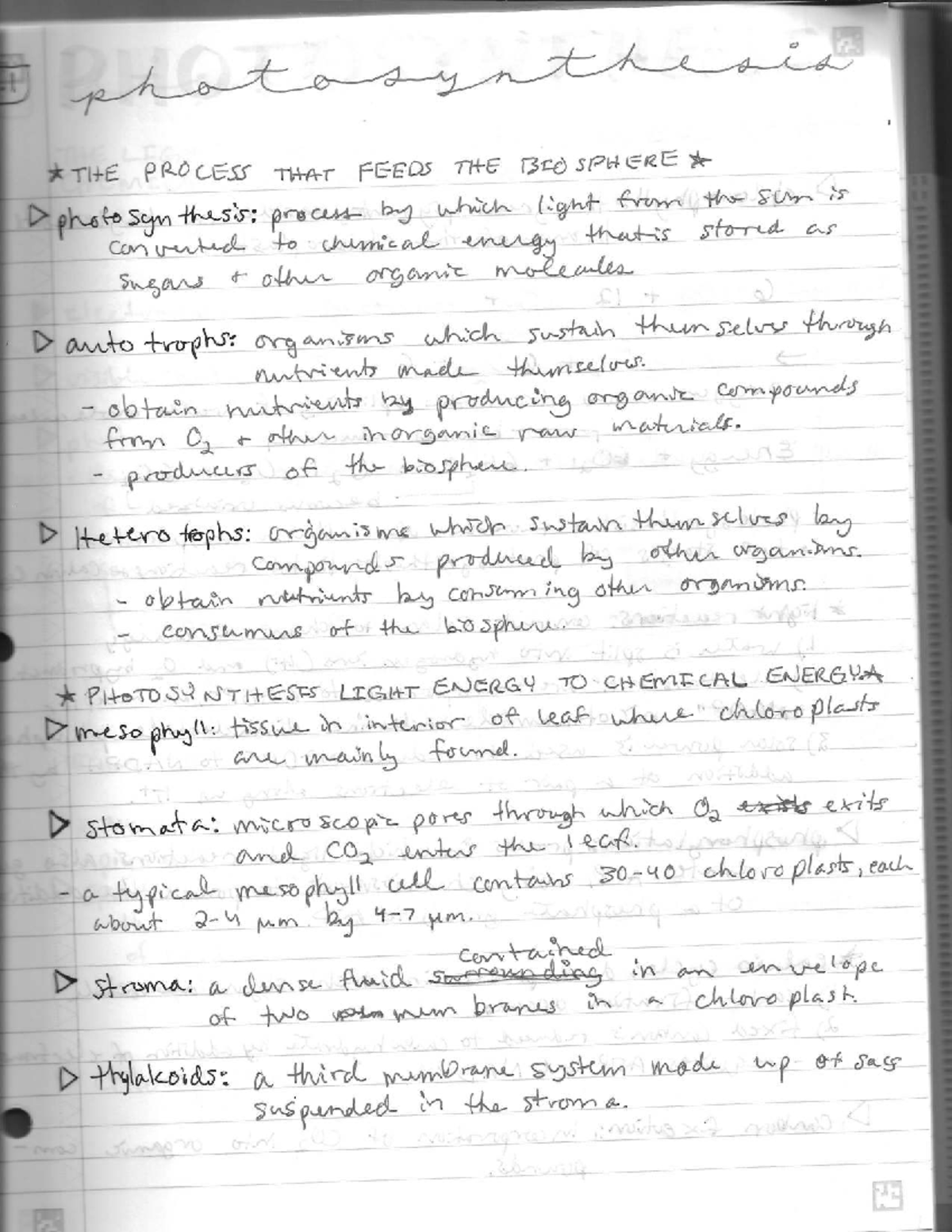 AP BIO 20379: Photosynthesis Process and Mechanisms in Chapter 10 - Studocu