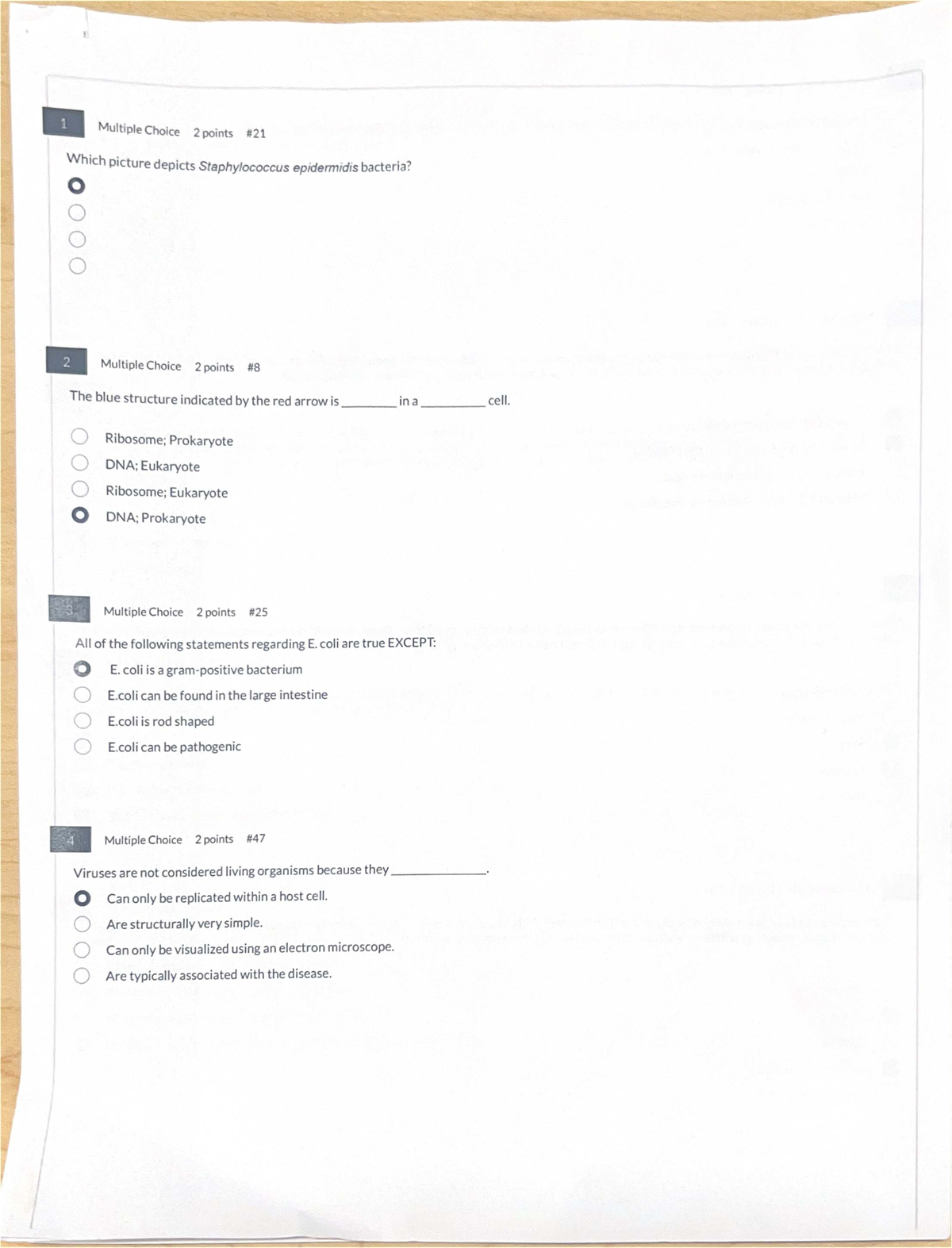 Micro 205 Midterm Study Guide: Bacterial and Viral Concepts - Studocu