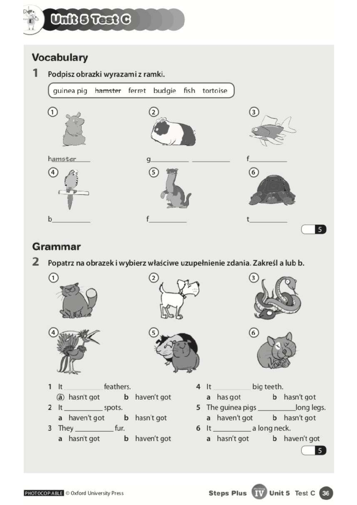 Unit 5 Test C Vocabulary & Grammar Notes - Steps Plus IV - Studocu