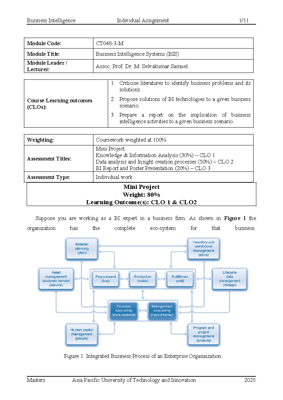 BIS 2025 Individual Assignment: Business Intelligence Analysis ...