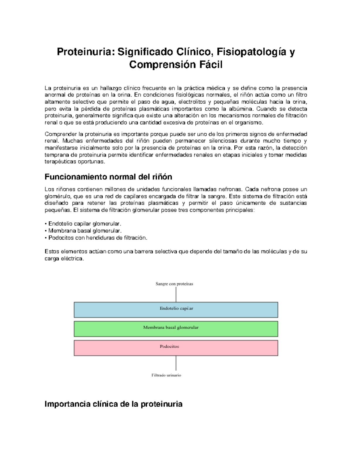 Guía Completa sobre Proteinuria: Significado y Fisiopatología - Studocu