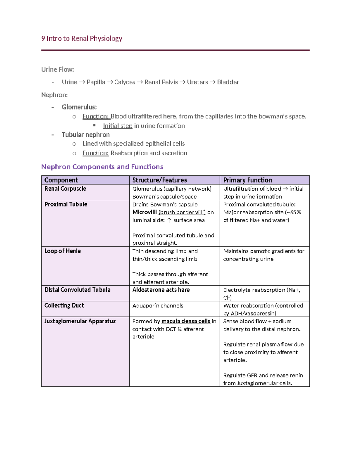 Exam 2 - Lecture Notes on Renal Physiology and Urine Flow - Studocu