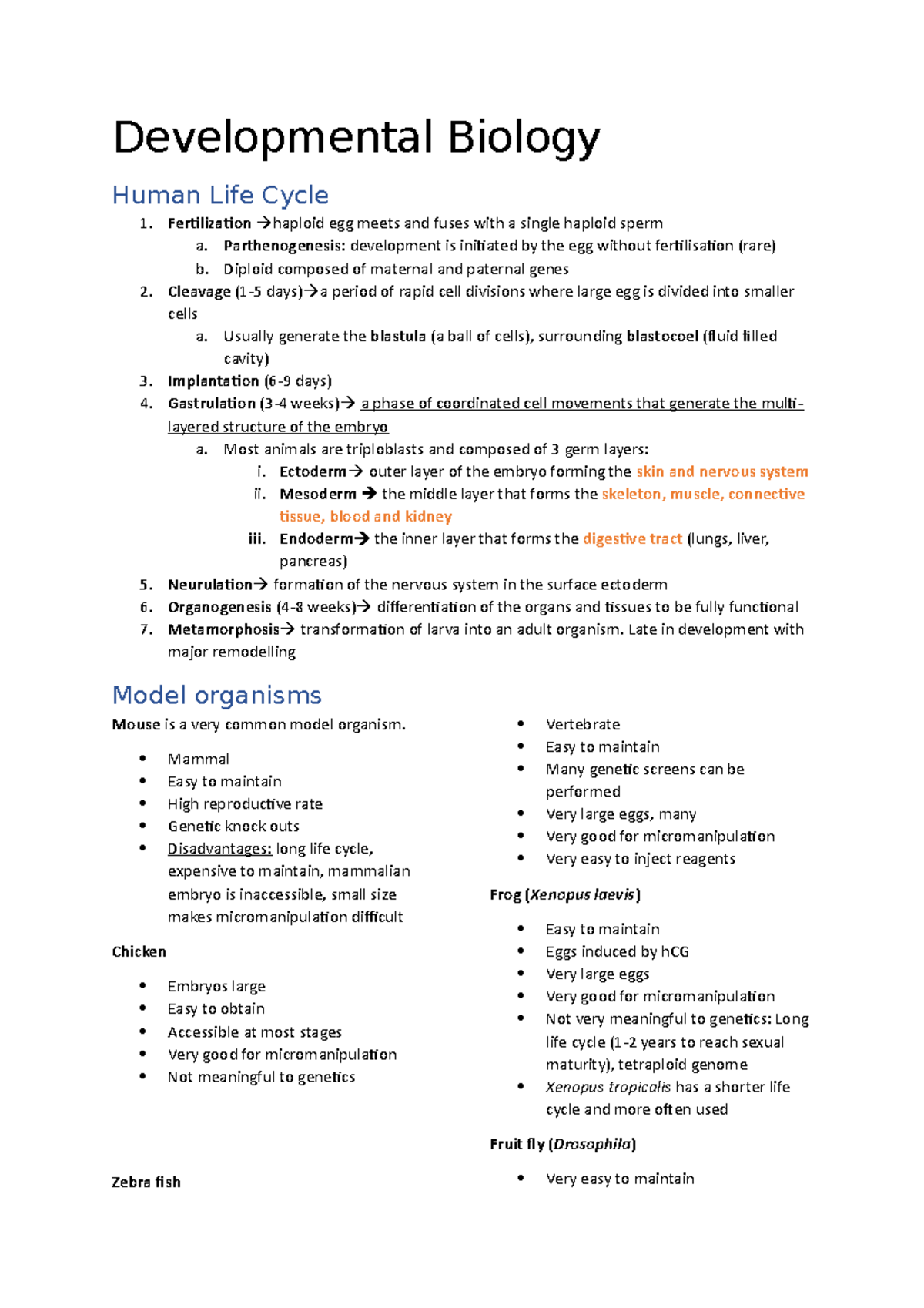 Developmental Biology: Human Life Cycle & Model Organisms (BIO 101 ...