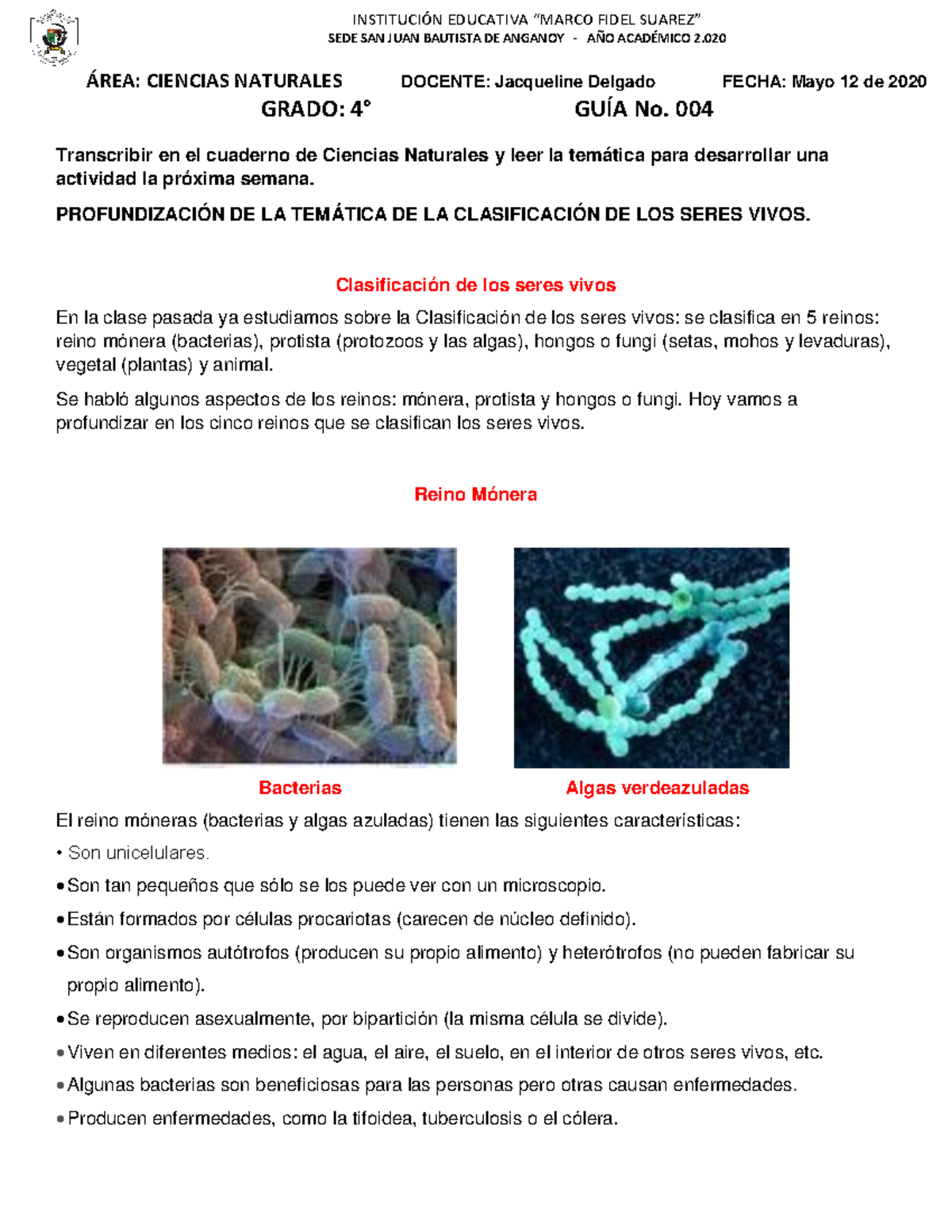 gu-a-no-004-profundizaci-n-en-la-clasificaci-n-de-los-seres-vivos