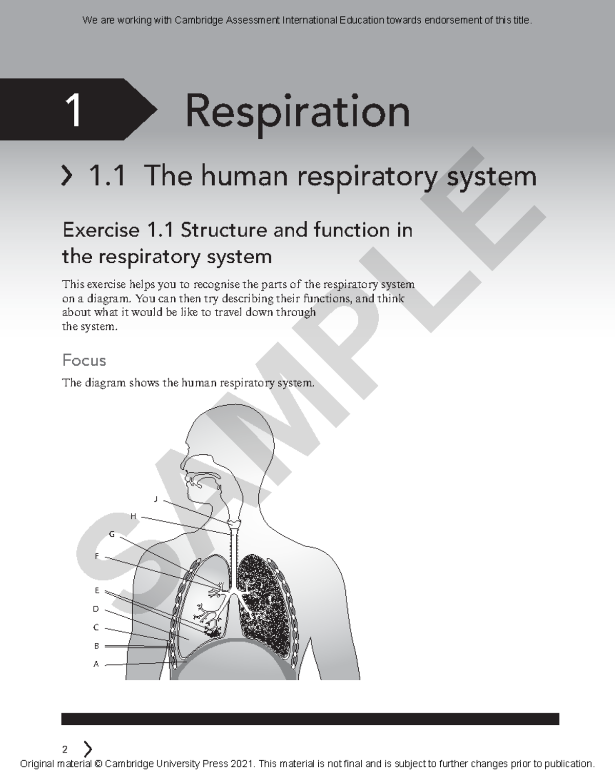 Biology 101: Lecture 1 - Human Respiratory System Overview - Studocu