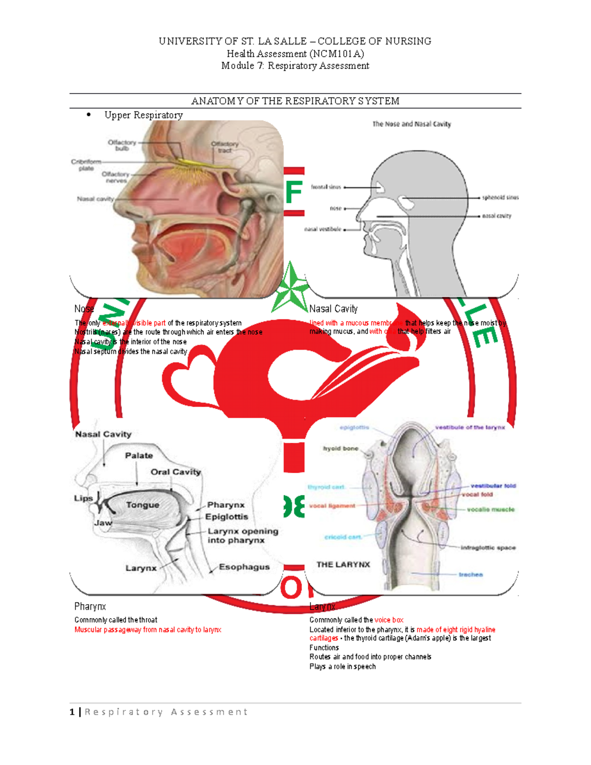 NCM101A Module 7 - Respiratory Asessment - UNIVERSITY OF ST. LA SALLE ...