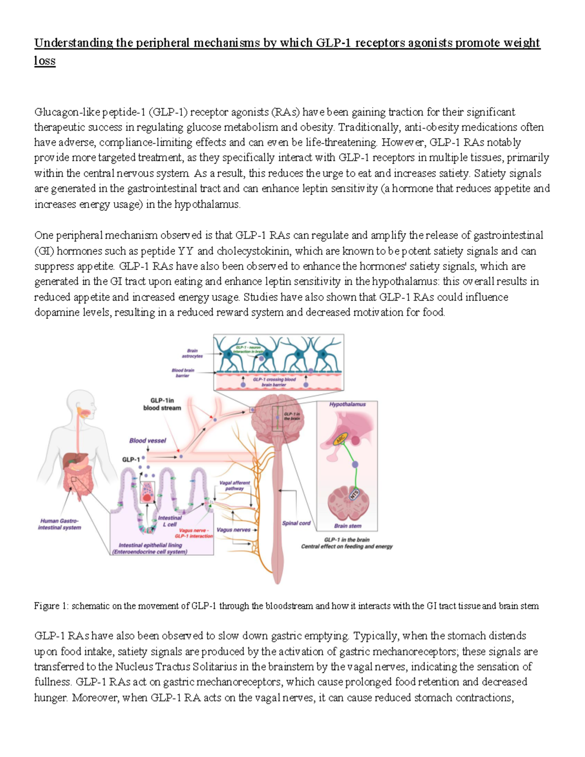 Curated visual reference: Visual Reference: Peripheral Mechanisms Of Glp 1 Receptor Agonists In Weight Loss