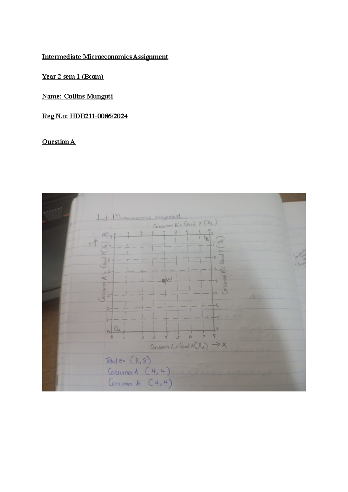 Intermediate Microeconomics Assignment (Bcom) - Pareto Efficiency ...