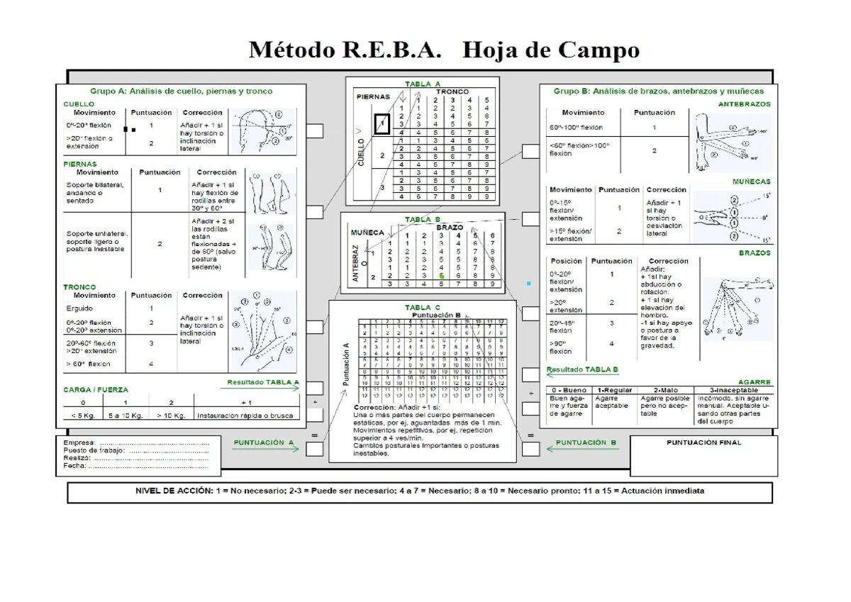 Actividad 1: Métodos RULA, REBA y NAM en Ergonomía - Studocu