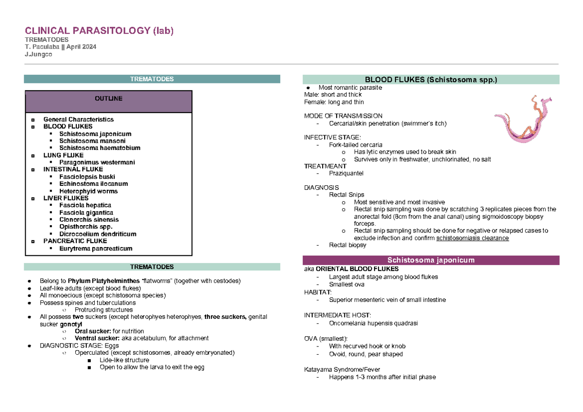Paralab semifinals - CLINICAL PARASITOLOGY (lab) TREMATODES T. Paculaba ...