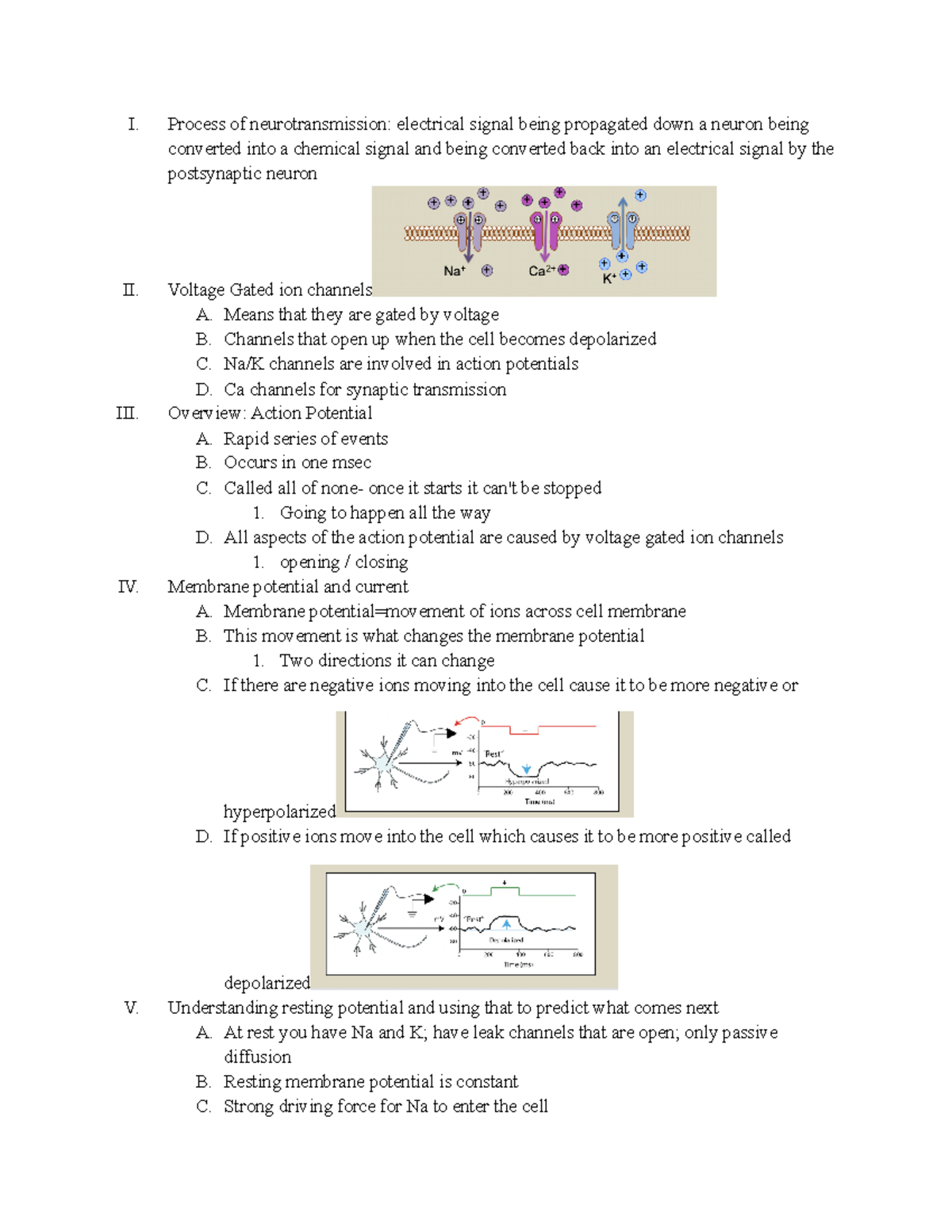 Lecture #4 - Neurotransmission & Action Potential Overview Notes - Studocu