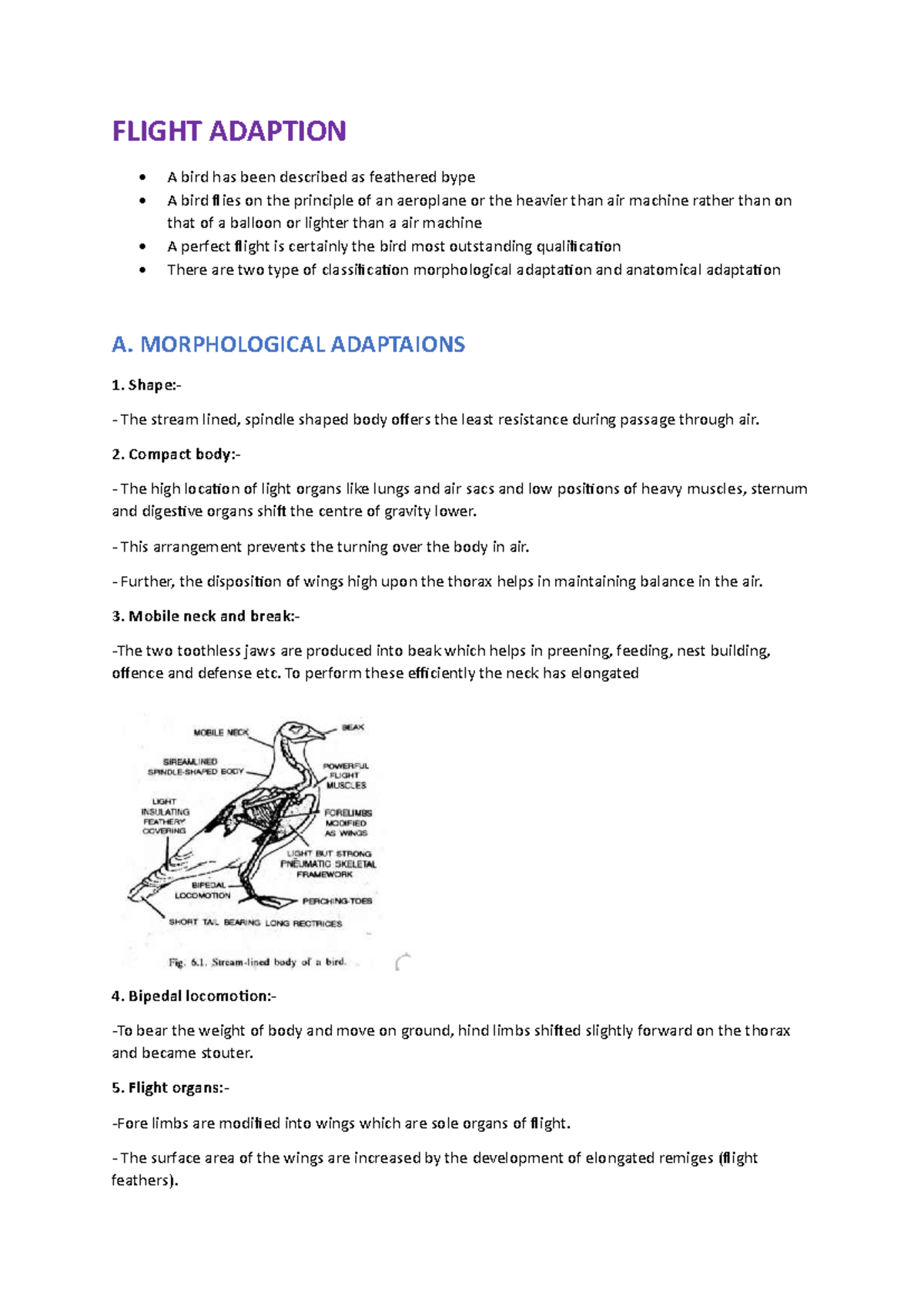 Flight Adaptation: Detailed Notes on Bird Morphology and Physiology ...
