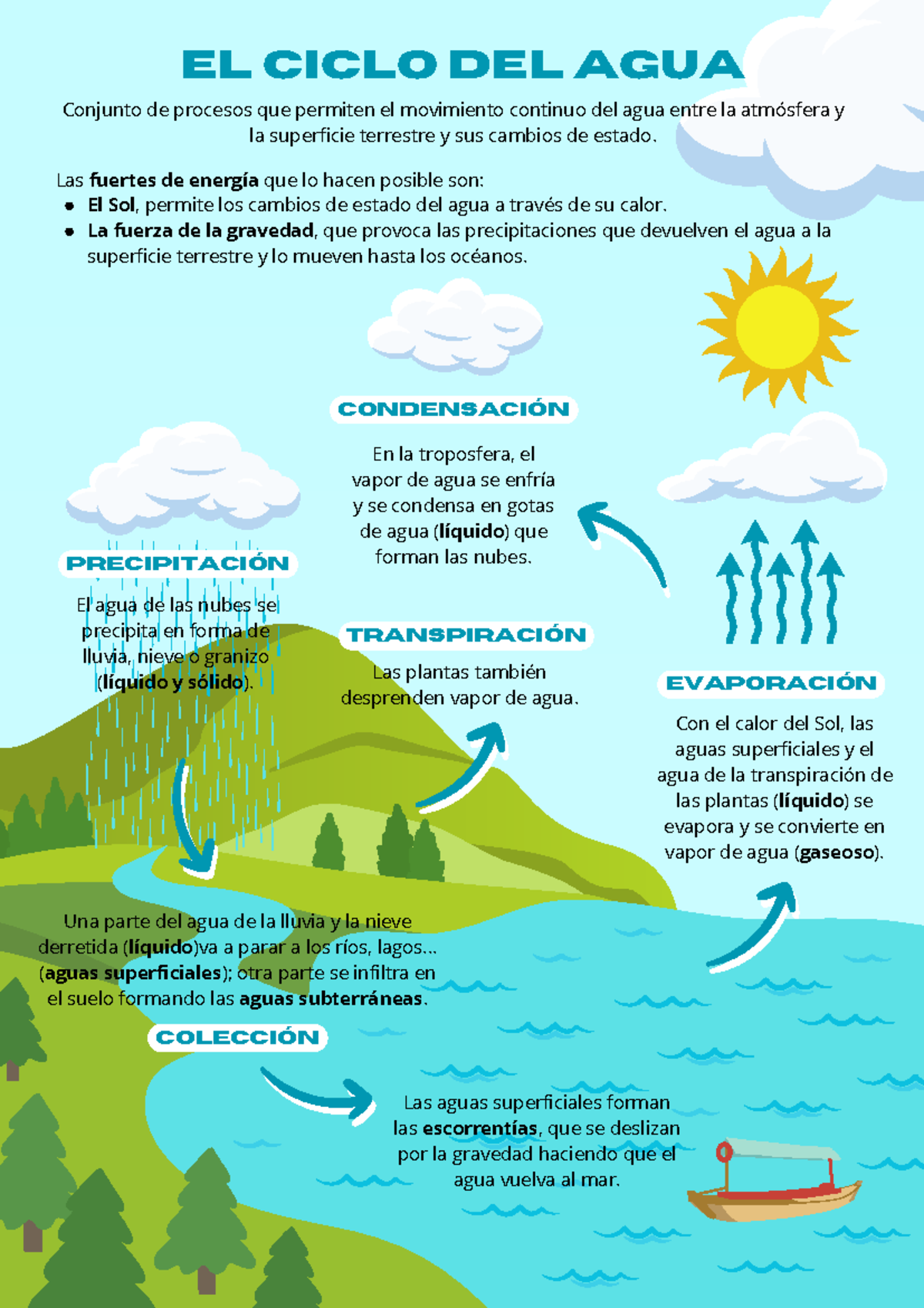 Ciclo del Agua: Procesos de Evaporación, Condensación y Precipitación - Document Preview