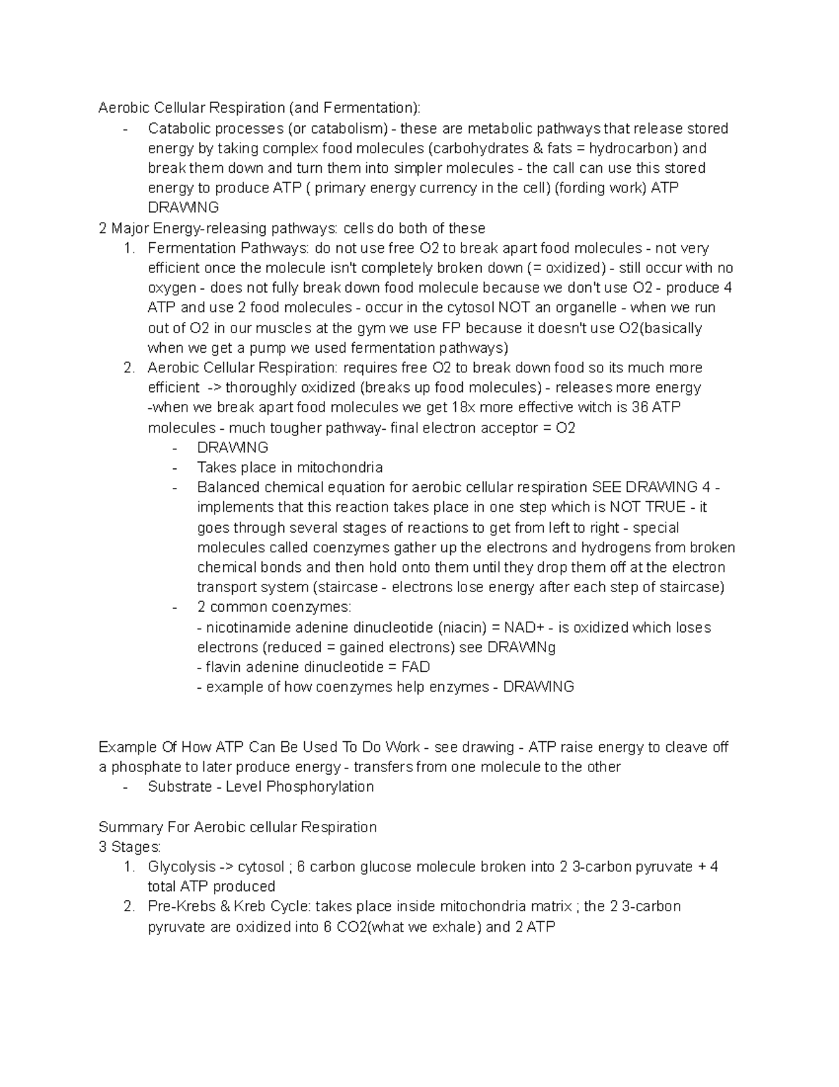 Bio exam 3 notes - Aerobic Cellular Respiration (and Fermentation ...