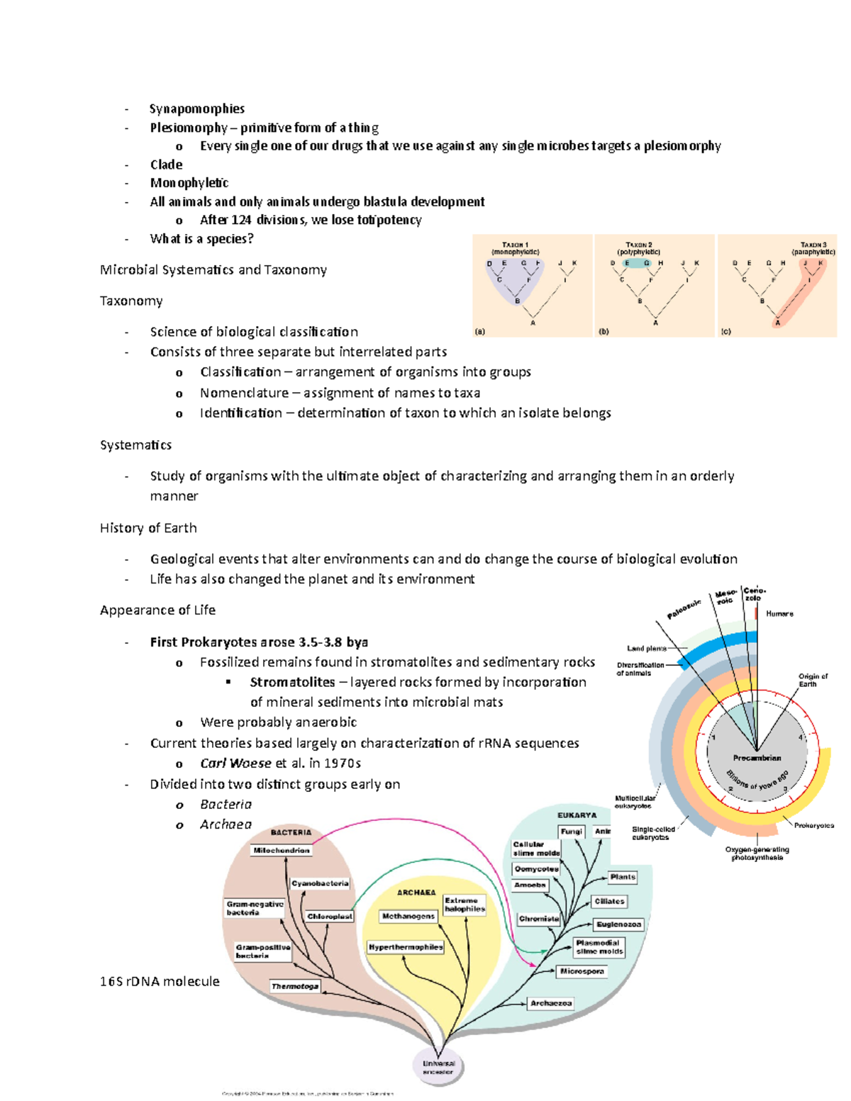 Microbial Exam 3 - Lecture notes 12 - Synapomorphies Plesiomorphy ...