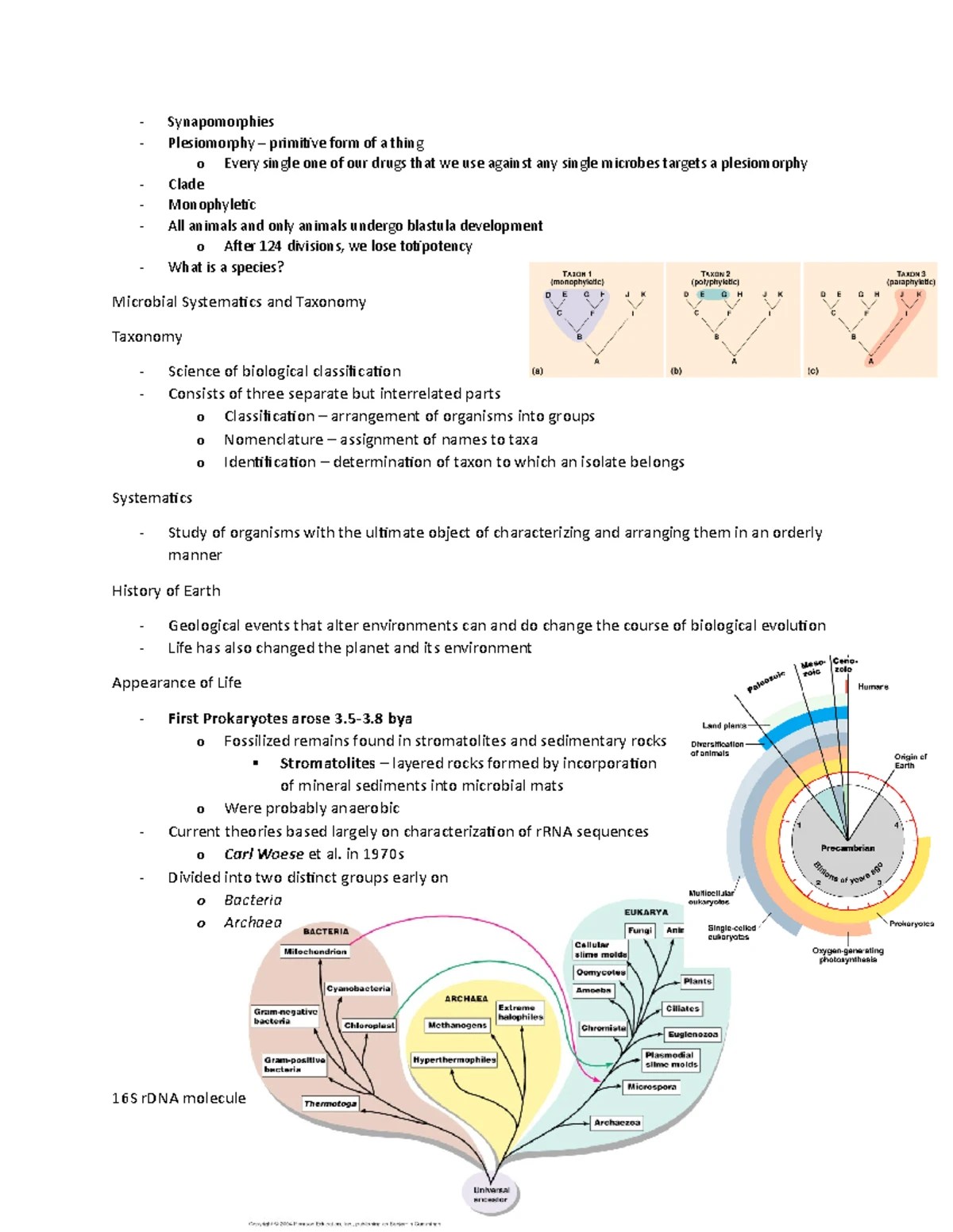 Microbial Exam 3 - Lecture notes 12 - Synapomorphies Plesiomorphy ...