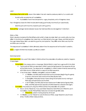 Genetics and Chromosomal Mutations Study Guide (Course Code: CULtwAbT ...