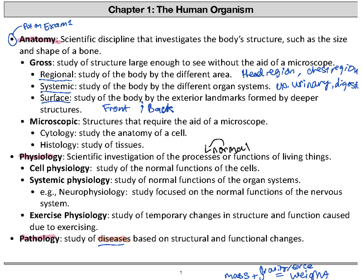 Chapter 1: Anatomy & Physiology of the Human Organism (ANAT101) - Studocu