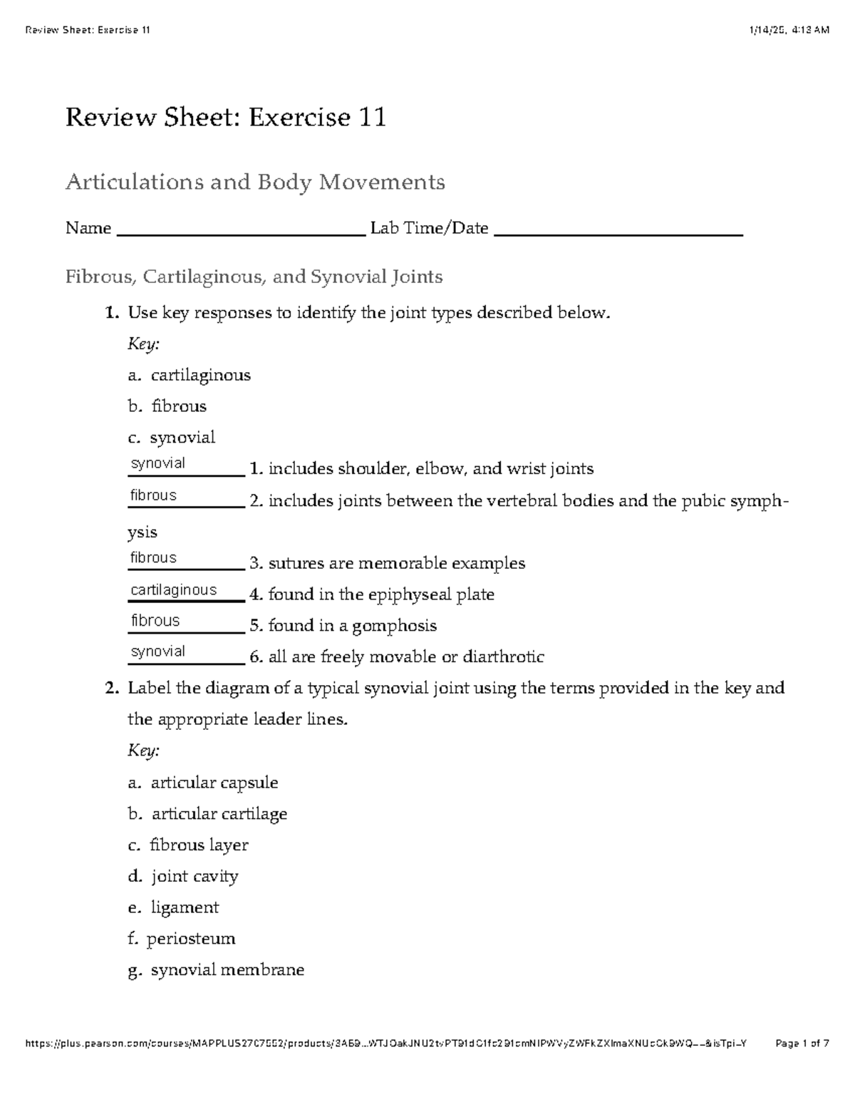 Review Sheet- Exercise 11 - Review Sheet: Exercise 11 Articulations and ...