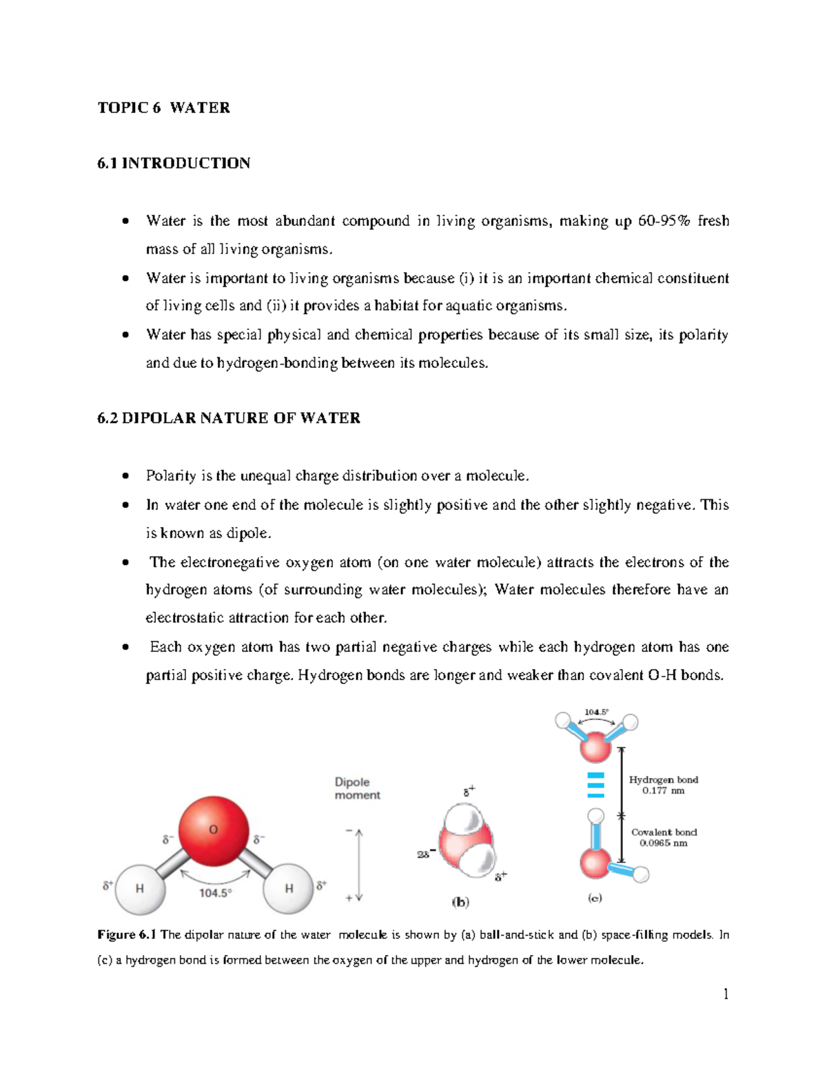 Topic 6: Summary of Water’s Role in Molecular Cell Biology and Genetics ...