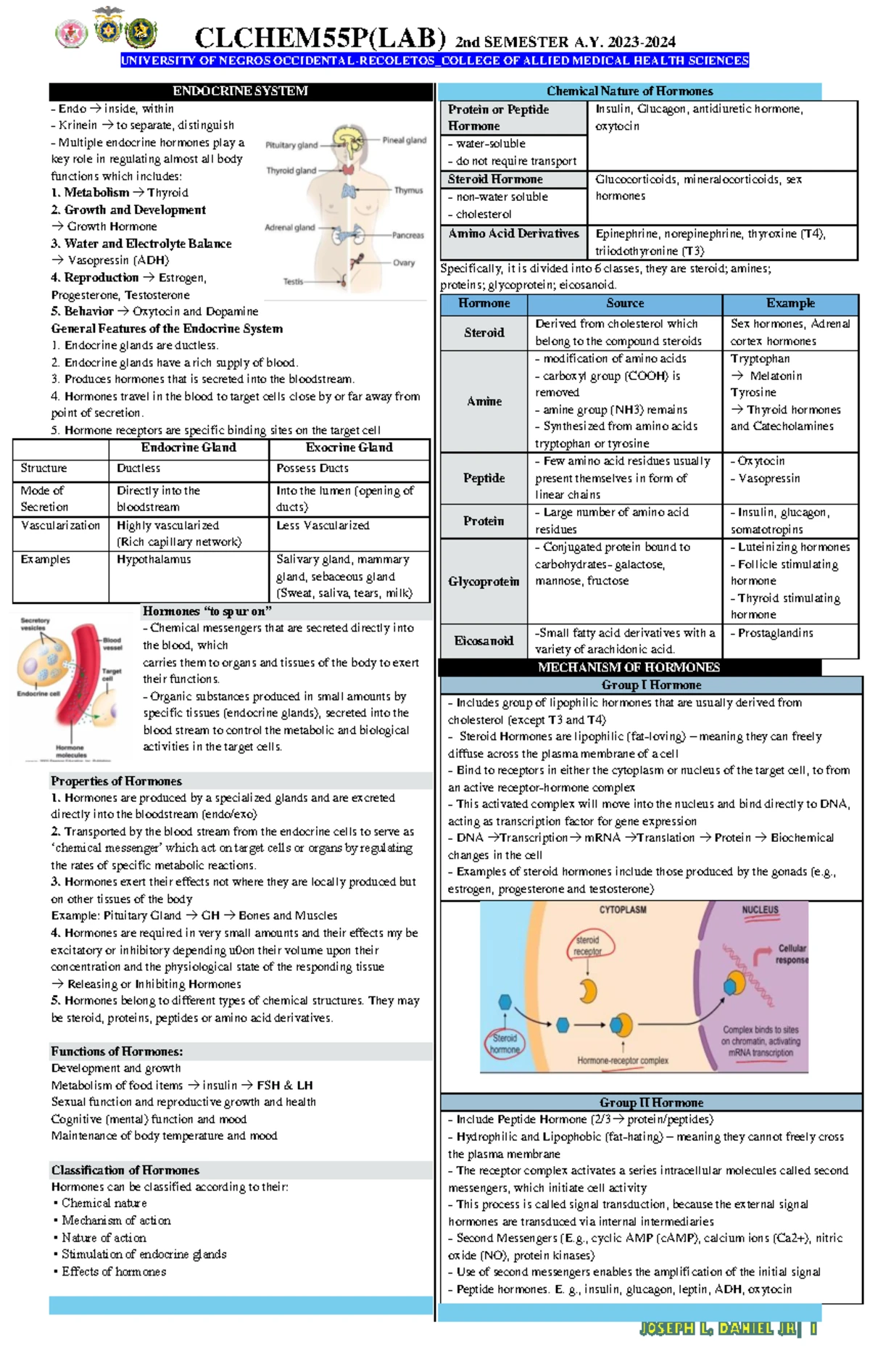 Lesson 5.2: Hormonal Functions of the Posterior Pituitary (CLCHEM55P ...