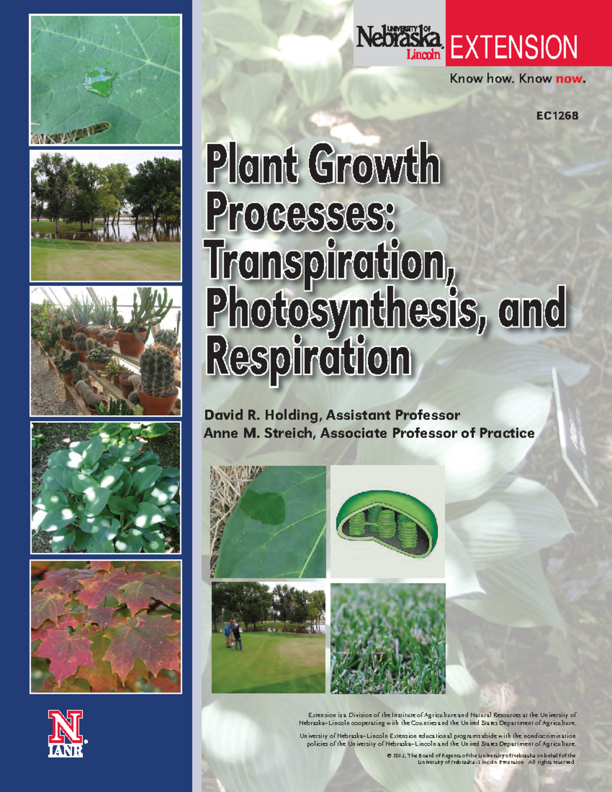 Plant growth and photosynthesis - This note describes photosynthesis in ...