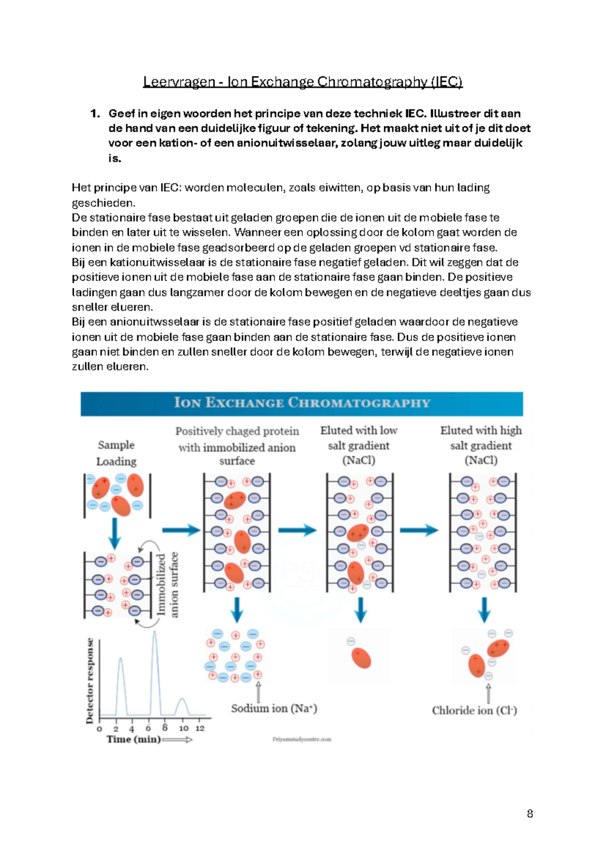 Leervragen over Ion Exchange Chromatography (IEC) en Labprocedures ...
